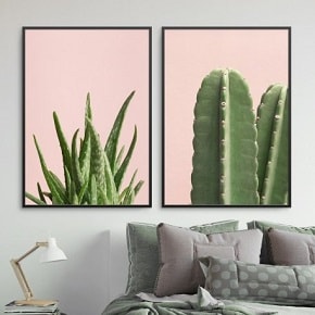 plakaty z kaktusami